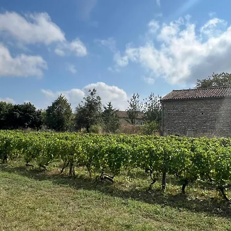 Le Petit Vignoble - Maison Vigneronne Et Vigne 펜션 *